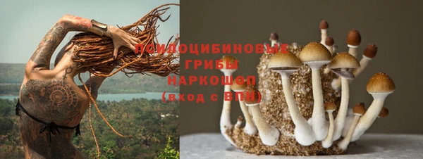 ГАЛЛЮЦИНОГЕННЫЕ ГРИБЫ Арсеньев