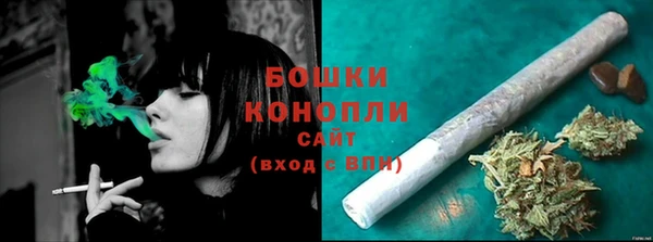 шишки Балабаново