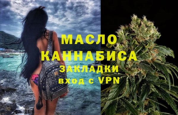 индика Пересвет