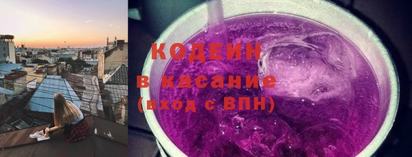 индика Пересвет