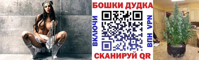 Конопля сатива где купить наркоту это официальный сайт Сухиничи